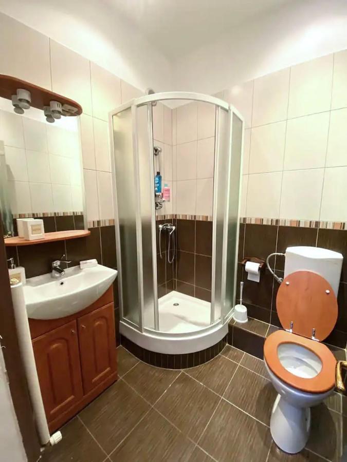 Harmony Homes- Piata Unirii Central Apartament تيميشورا المظهر الخارجي الصورة