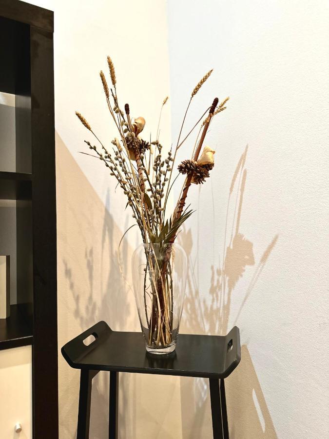 Harmony Homes- Piata Unirii Central Apartament تيميشورا المظهر الخارجي الصورة