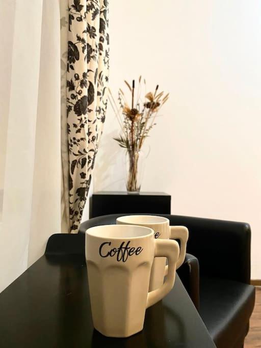 Harmony Homes- Piata Unirii Central Apartament تيميشورا المظهر الخارجي الصورة