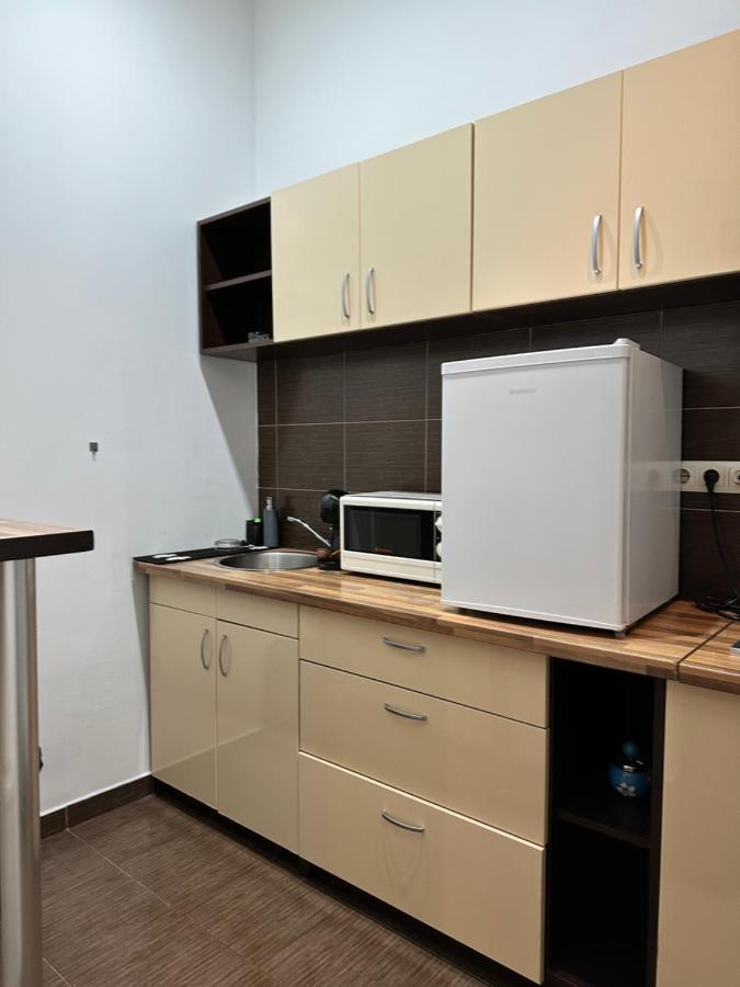 Harmony Homes- Piata Unirii Central Apartament تيميشورا المظهر الخارجي الصورة